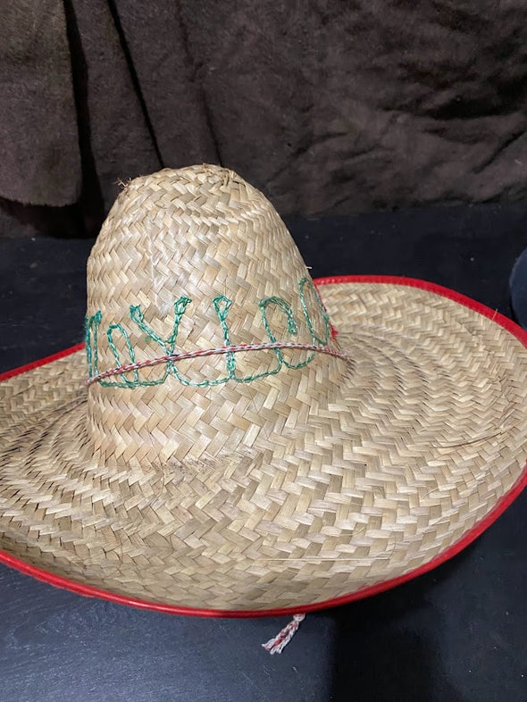 Large Brimmed Straw Hat