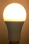 LARGE: GE War (A21) 100W LED Light Bulbs